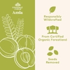 Organic India, Порошок фруктов амлы, 454 г (16 унций)