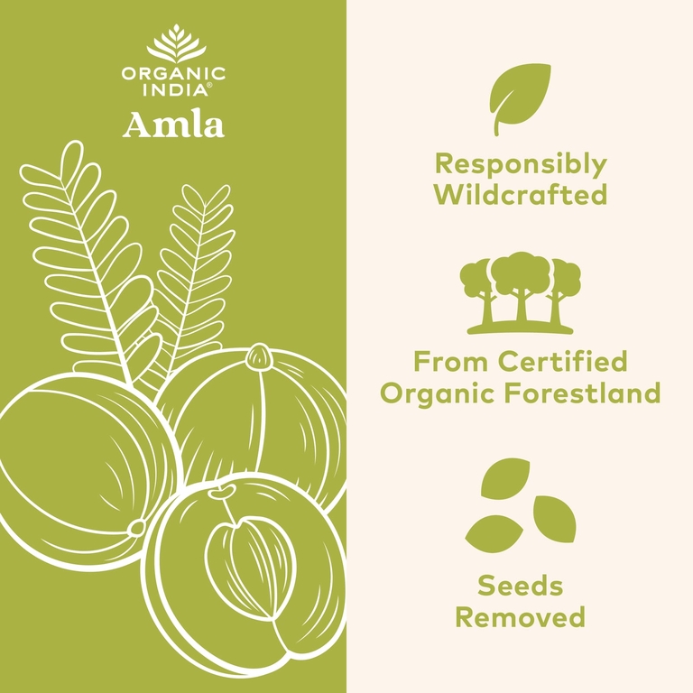 Organic India, Порошок фруктов амлы, 454 г (16 унций)