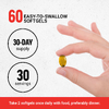 Force Factor, Prostate, натуральное средство для здоровья простаты, 60 удобных капсул