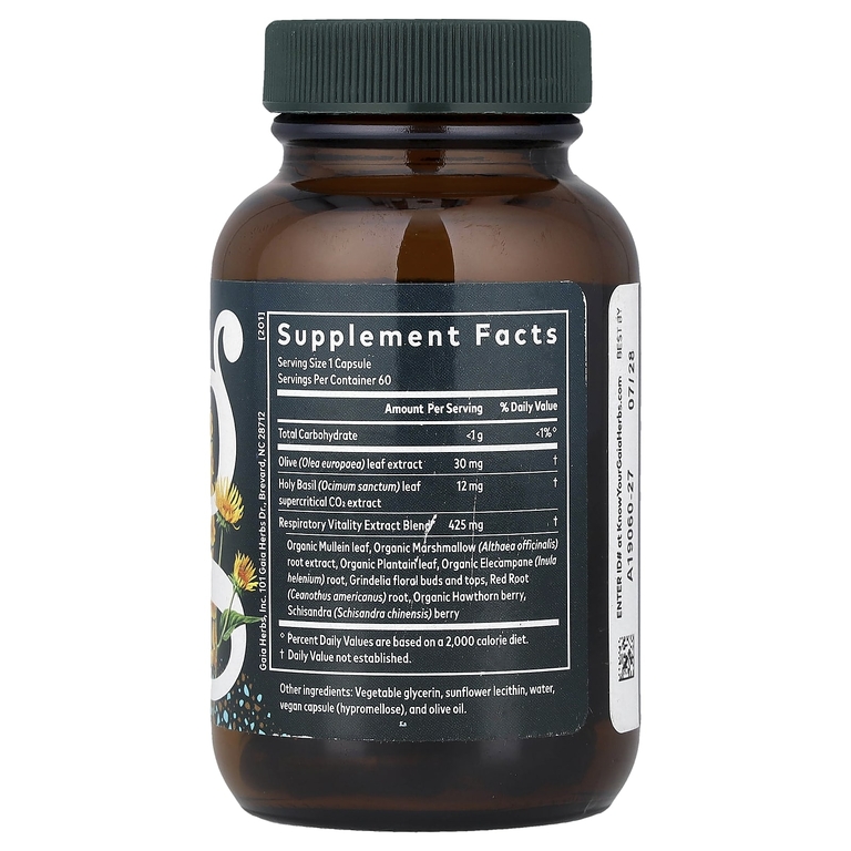 Gaia Herbs, Mighty Lungs™, для поддержки лёгких, 60 капсул Phyto-Caps®