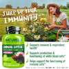 NATURELO, Поддержка иммунитета с бузиной, витамином С, цинком и эхинацеей, 60 вегетарианских капсул