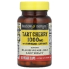 Mason Natural, Пирог вишни с экстрактом куркумы, 1000 мг, 60 вег. Капсул