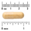 Swanson Vitamins, Super Stress B-Complex с витамином C, 240 капсул