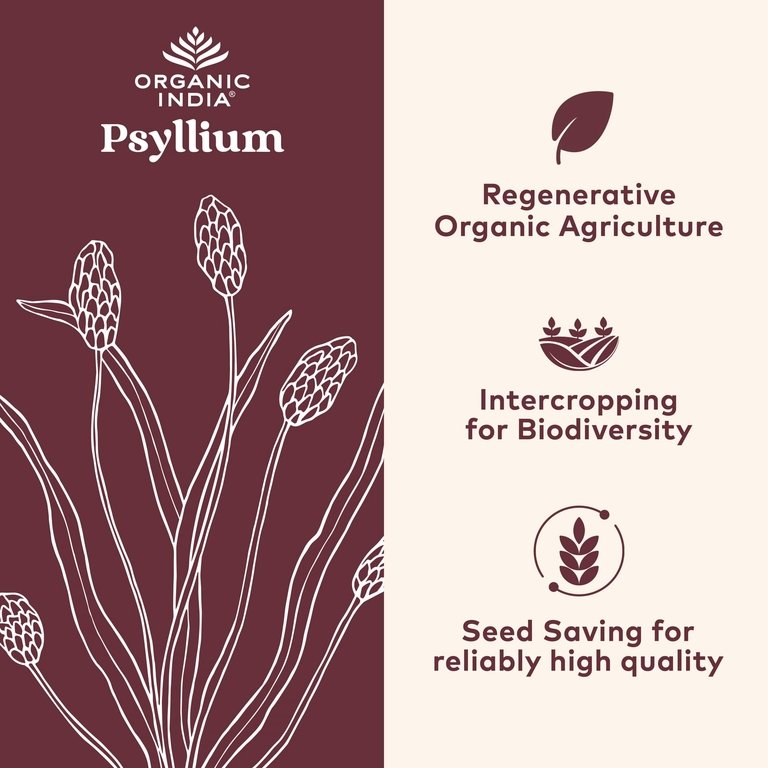 Organic India, Органическая клетчатка подорожника, 180 растительных капсул (0,52 г в капсуле)