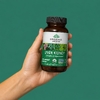 Organic India, печень и почки, 180 вегетарианских капсул