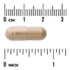 Swanson Vitamins, Корень астрагала полного спектра, 470 мг, 100 капсул
