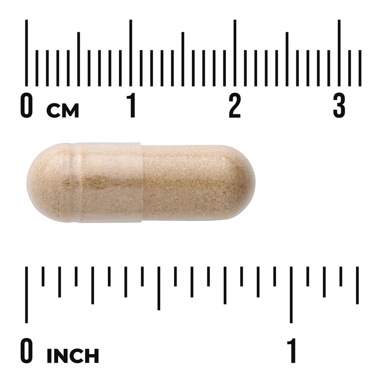 Swanson Vitamins, Корень астрагала полного спектра, 470 мг, 100 капсул