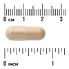 Swanson Vitamins, Расторопша, 120 капсул