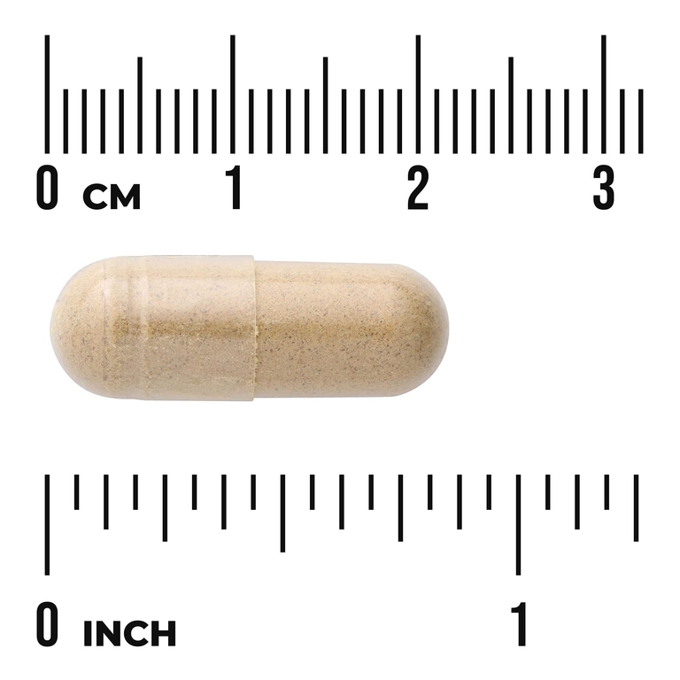 Swanson Vitamins, Расторопша, 120 капсул