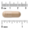 Swanson Vitamins, Full Spectrum®, корень имбиря, 540 мг, 100 капсул