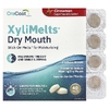 OraCoat, XyliMelts® Dry Mouth, корица, 40 плавок