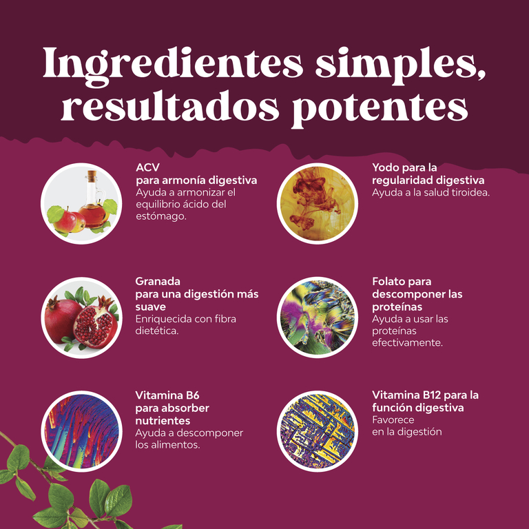 Nature's Craft, Жевательные мармеладки с яблочным уксусом, яблоко, 60 жевательных таблеток