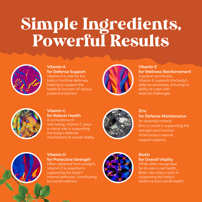 Nature's Craft, мультивитамины, со вкусом апельсина, вишни и клубники, 90 жевательных таблеток