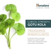 Himalaya, Органическое готу кола, 90 капсул