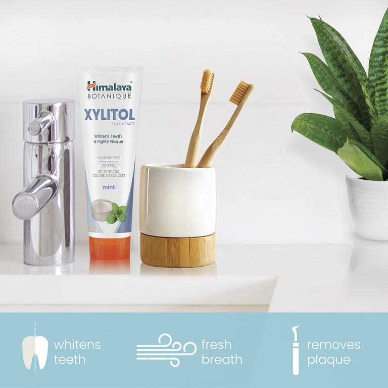 Himalaya, Зубная паста с ксилитолом, мята, 113 г (4 унции)