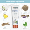 Himalaya, Зубная паста с ксилитолом, мята, 113 г (4 унции)