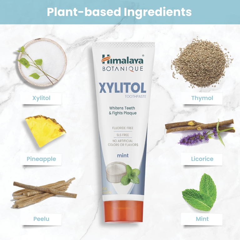 Himalaya, Зубная паста с ксилитолом, мята, 113 г (4 унции)