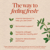 Nature's Way, Chlorofresh®, жевательная таблетка, со вкусом садовых фруктов, 60 жевательных таблеток (50 мг в 1 жевательной таблетке)
