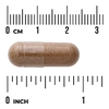 Swanson Vitamins, кордицепс, 120 капсул (600 мг в 1 капсуле)