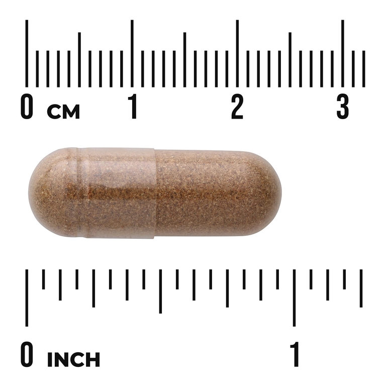 Swanson Vitamins, кордицепс, 120 капсул (600 мг в 1 капсуле)