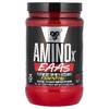 BSN, AminoX, EAAs, Watermelon Smash (на основе арбуза), поддержка и восстановление мышц, 375 г (13,2 унции)