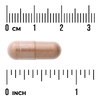 Swanson Vitamins, Full Spectrum®, виноградные косточки, 380 мг, 100 веганских капсул