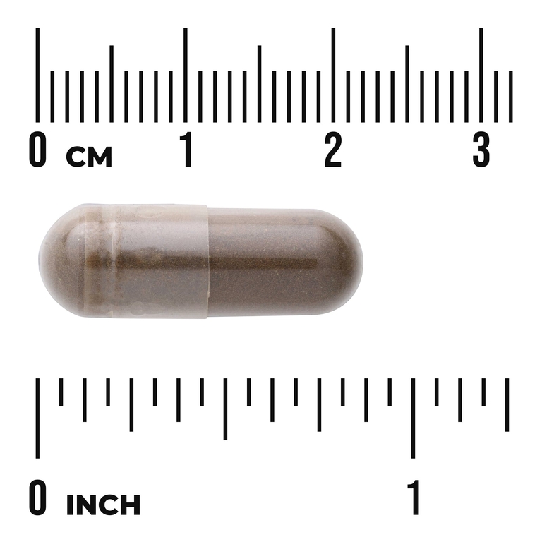 Swanson Vitamins, Ревень индейки, 500 мг, 100 капсул