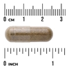 Swanson Vitamins, Full Spectrum®, дамиана, 510 мг, 100 капсул