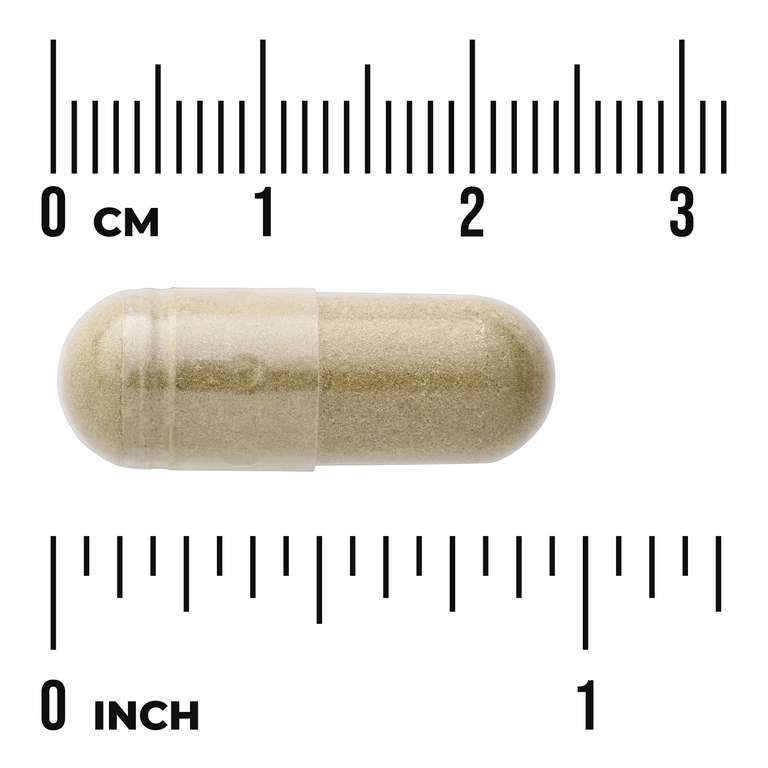Swanson Vitamins, Full Spectrum®, андрографис метельчатый, 400 мг, 60 капсул