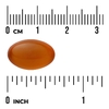 Swanson Vitamins, Лецитин, 520 мг, 250 мягких таблеток