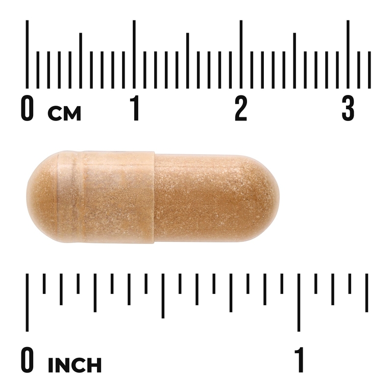 Swanson Vitamins, Экстракт фукоидана, 500 мг, 60 веганских капсул