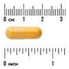 Swanson Vitamins, Рибофлавин, 100 мг, 100 капсул