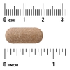 Swanson Vitamins, Orchic Glandular, для мужского здоровья, 1000 мг, 30 таблеток