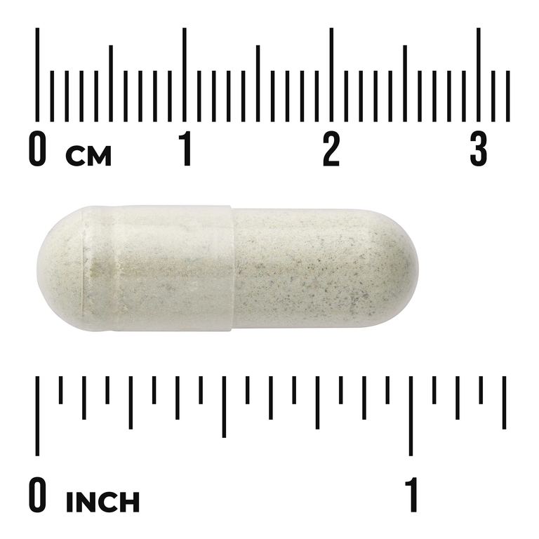 Swanson Vitamins, альгинат натрия из бурых водорослей с листьями кинзы, 60 растительных капсул
