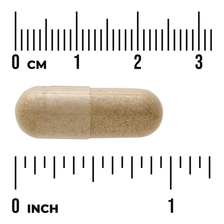 Swanson Vitamins, Full Spectrum®, кникус благословенный, 400 мг, 90 капсул