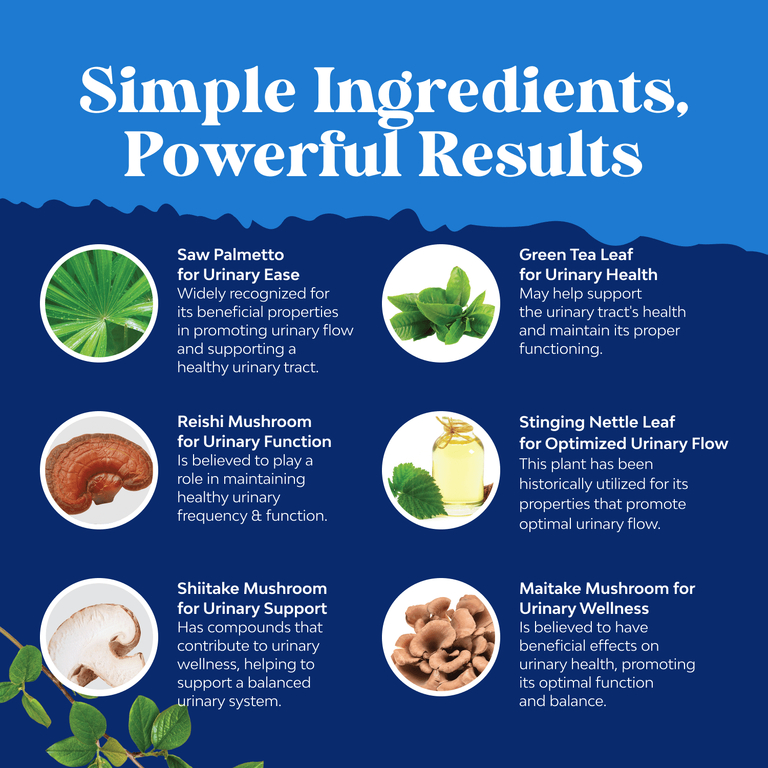 Nature's Craft, Men's Wellness, добавка для поддержки простаты, 90 капсул