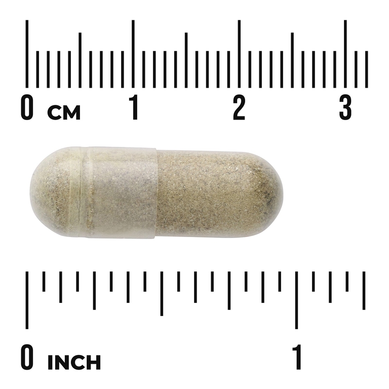 Swanson Vitamins, Экстракт оливковых листьев, 500 мг, 60 капсул