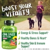 NATURELO, One Daily, мультивитамины для женщин, для приёма один раз в день, 240 вегетарианских капсул