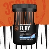 Animal, Fury Essentials, предтренировочный комплекс, со вкусом голубого мороженого, 483 г (1,06 фунта)