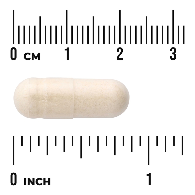 Swanson Vitamins, Full Spectrum® луковые луковицы, 400 мг, 60 капсул