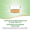 Nature's Way, рыбий жир с омега-3, со вкусом лимона, 500 мл (16,9 жидк. унции)