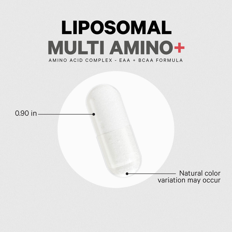Codeage, Liposomal Multi Amino+, комплекс липосомальных аминокислот, серия Sport, 240 растительных капсул