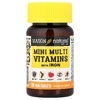 Mason Natural, мини-мультивитамины с железом, 100 мини-таблеток