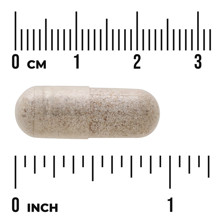 Swanson Vitamins, Морской огурец, 500 мг, 100 капсул
