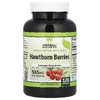 Herbal Secrets, Ягоды боярышника, 565 мг, 120 капсул (Товар снят с продажи) 