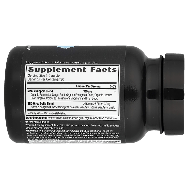 Ancient Nutrition, Мужчины Once Daily, пробиотики SBO, 30 капсул