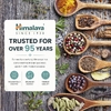 Himalaya, Органическая горькая дыня, 30 капсул