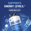 EVLution Nutrition, Мумие, 400 мг, 60 растительных капсул