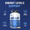 EVLution Nutrition, Мумие, 400 мг, 60 растительных капсул