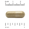 California Gold Nutrition, красный ферментированный рис, 600 мг, 120 растительных капсул